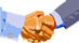:main: